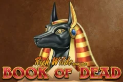 Book of Dead slot